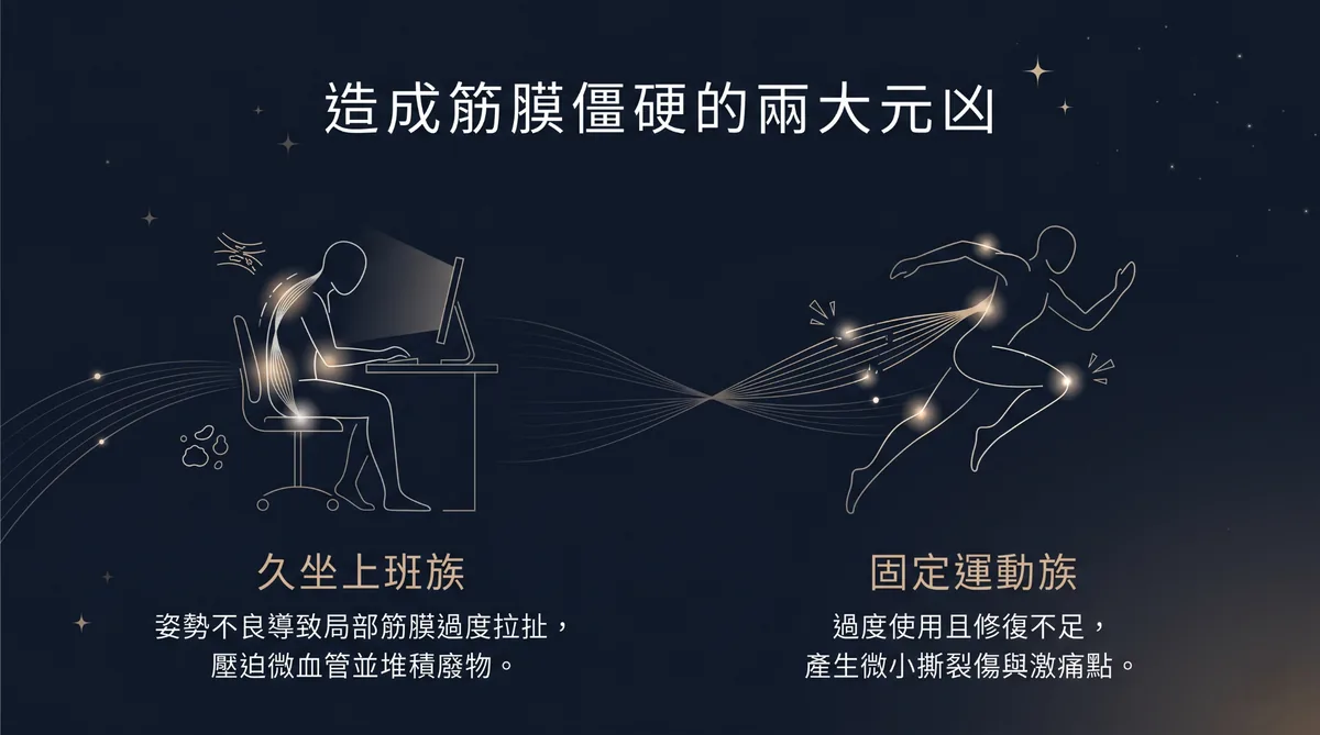 造成肌肉僵硬與筋膜緊繃的兩大族群與原因分析